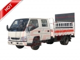 Cargo Truck with Tailgate Lift JMC
